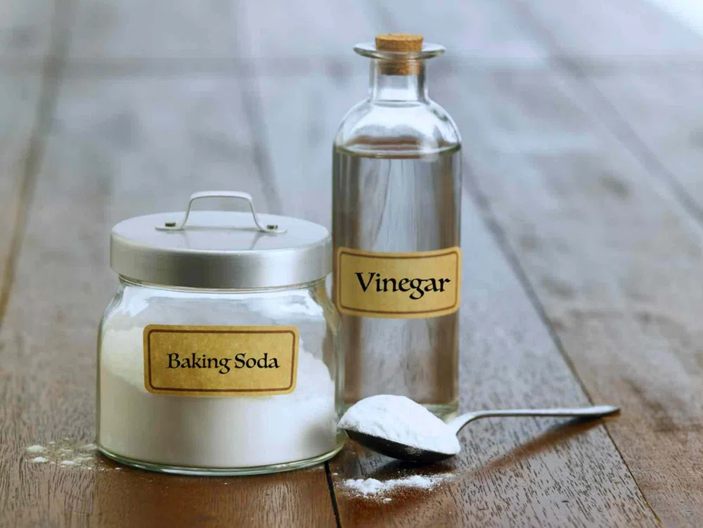 Đánh bóng, vệ sinh bồn cầu TOTO đúng cách như thế nào?