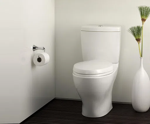 Bồn cầu CS838