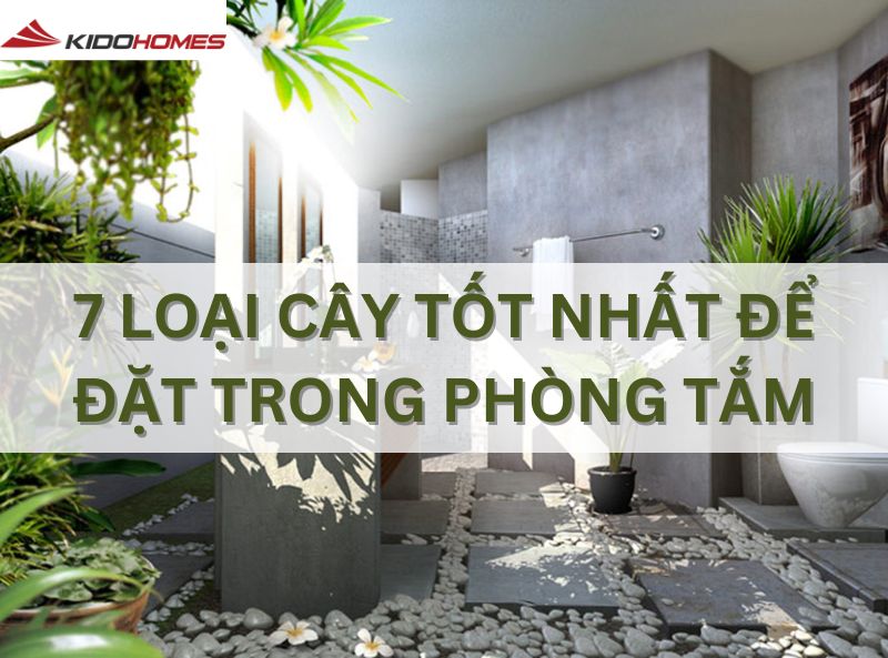 cây tốt nhất để đặt trong phòng tắm