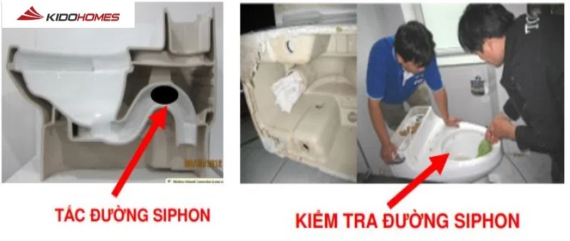 Khắc phục bồn cầu TOTO xả nước yếu - kiểm tra đường siphong