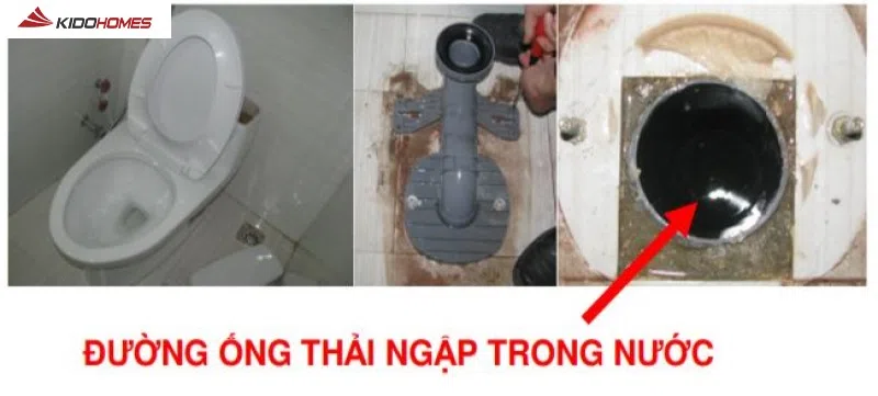 Khắc phục bồn cầu TOTO xả nước yếu - kiểm tra ống thoát
