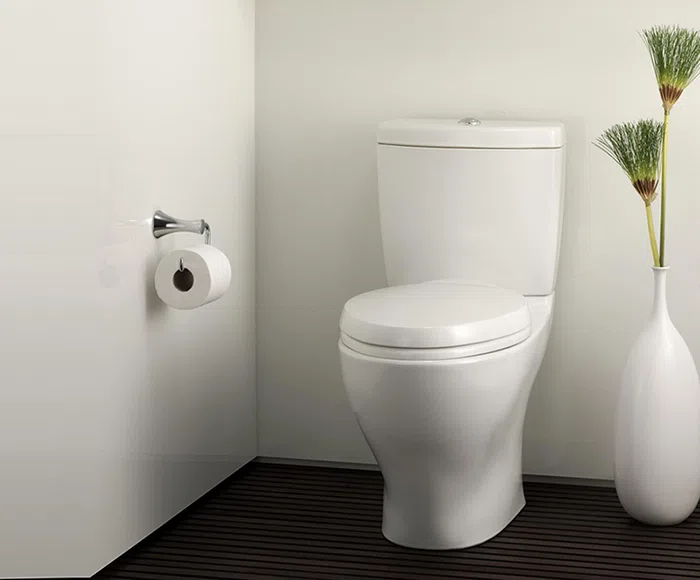 Đánh bóng, vệ sinh bồn cầu TOTO đúng cách như thế nào?