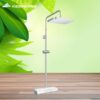Sen cây nhiệt độ TOTO có kệ để đồ kèm vòi xả bồn TBW12400V