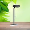 Sen cây nhiệt độ TOTO dòng G TBW14WC0A